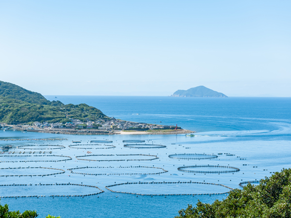 海のめぐみを未来へ